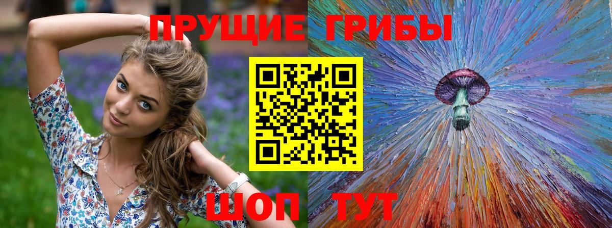 Галлюциногенные грибы Magic Shrooms Гулькевичи